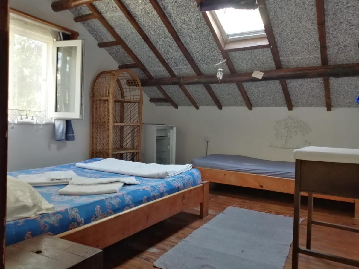 Ecer Pansiyon Kusadası Zewnętrze zdjęcie