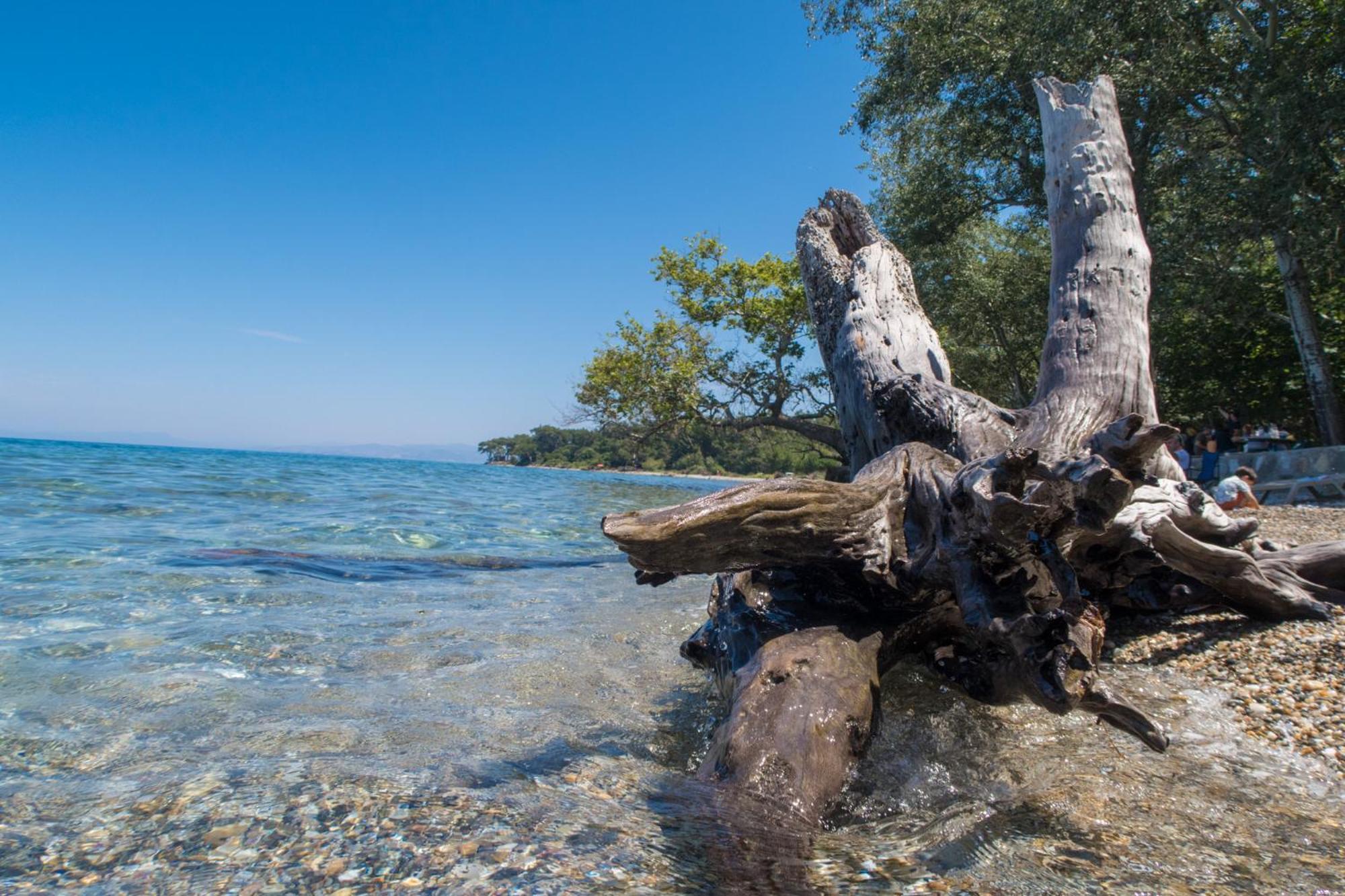Ecer Pansiyon Kusadası Zewnętrze zdjęcie